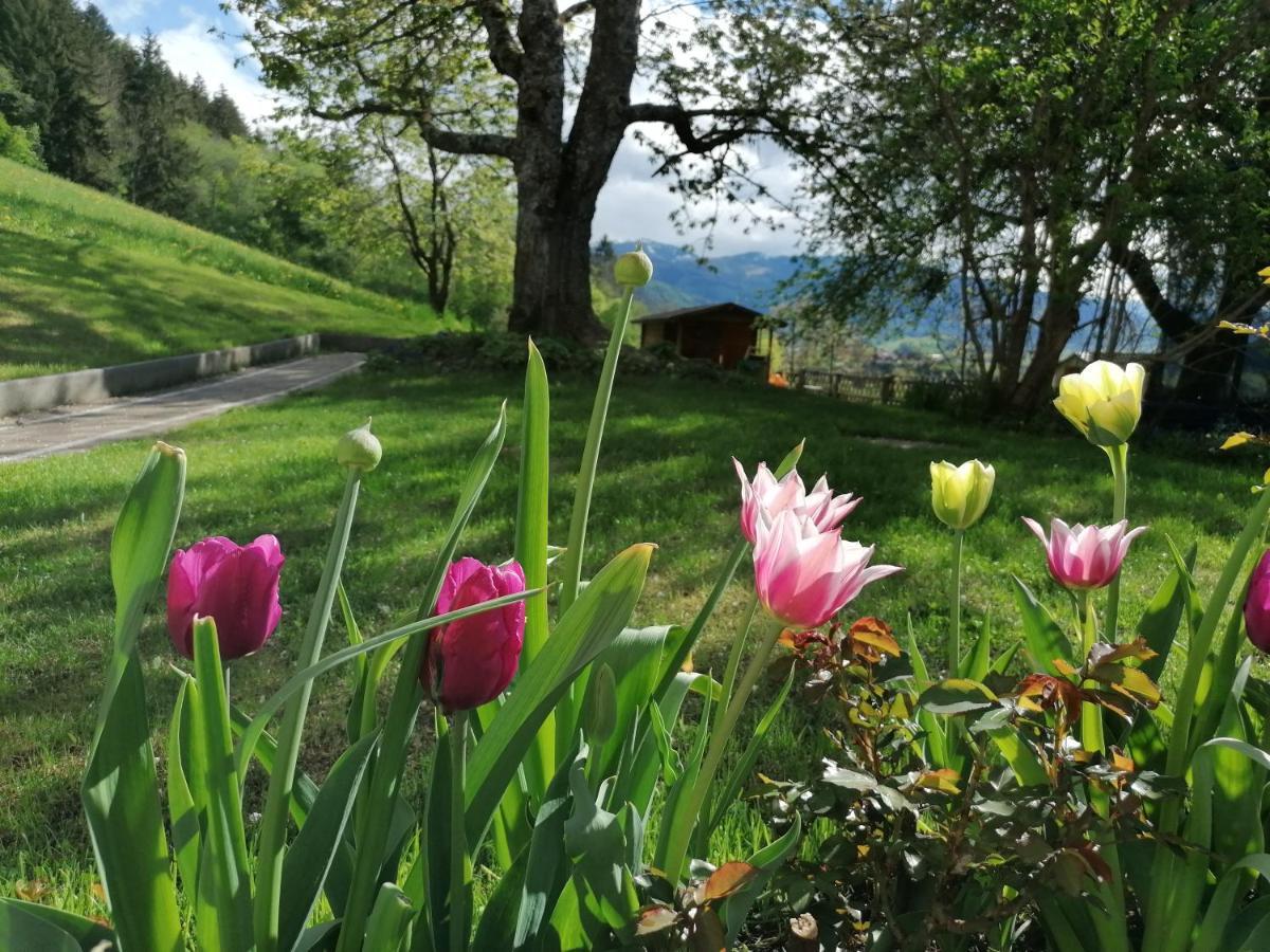 Hörandlhof Aigen im Ennstal Exteriör bild